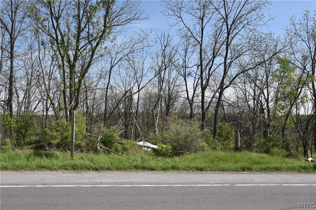 0 Middle Settlement Road New Hartford, NY 13413 - Photo 3 of 8