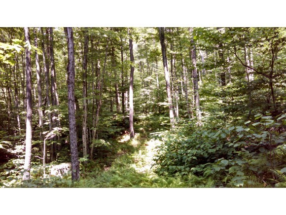 Lot 105 Vt Route Readsboro, VT 05350 - Photo 1 of 27