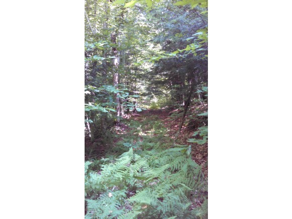 Lot 105 Vt Route Readsboro, VT 05350 - Photo 3 of 27