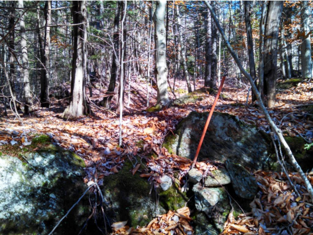 Lot 105 Vt Route Readsboro, VT 05350 - Photo 26 of 27