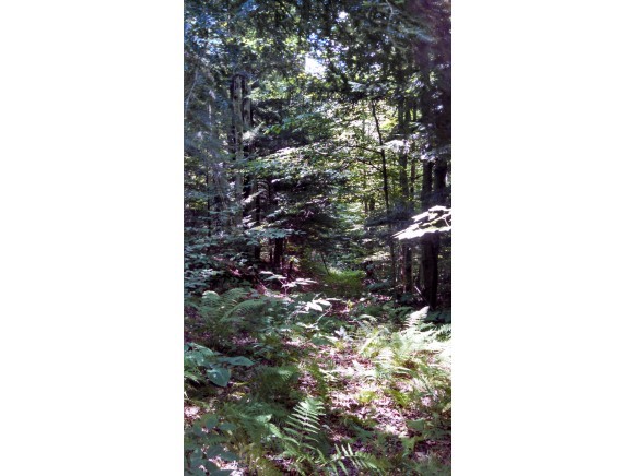 Lot 105 Vt Route Readsboro, VT 05350 - Photo 4 of 27