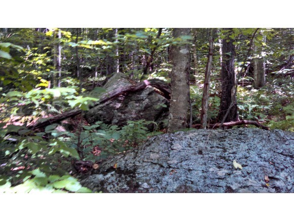 Lot 105 Vt Route Readsboro, VT 05350 - Photo 5 of 27