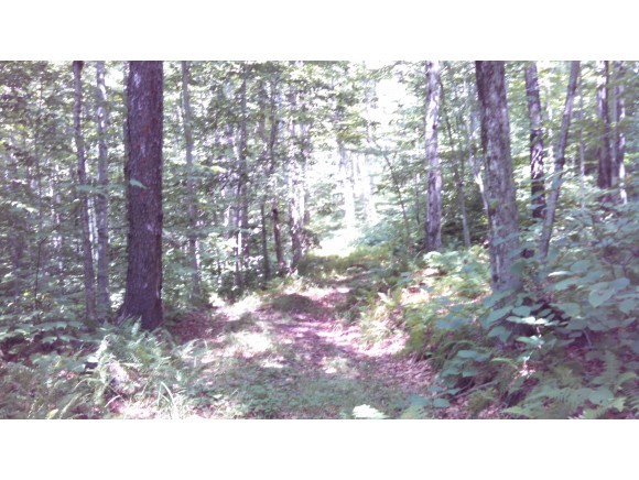 Lot 105 Vt Route Readsboro, VT 05350 - Photo 6 of 27