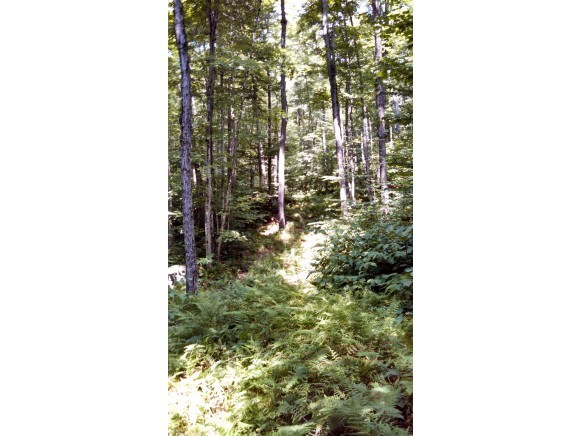 Lot 105 Vt Route Readsboro, VT 05350 - Photo 7 of 27