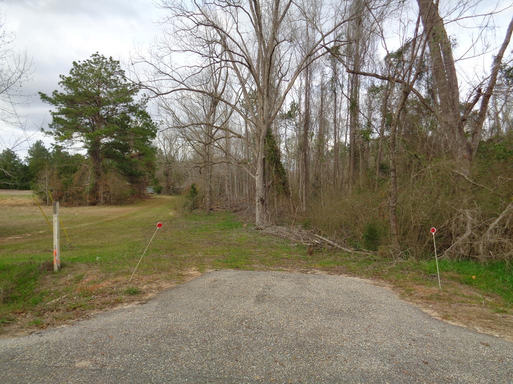 2.33-ac Lonnie Road Slocomb, AL 36375 - Photo 1 of 1