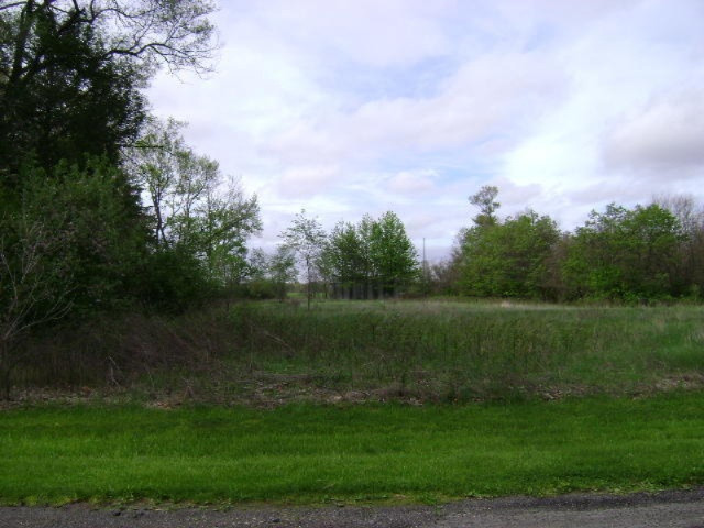 0 Wright Road Niles, MI 49120 - Photo 3 of 6 DSC05333