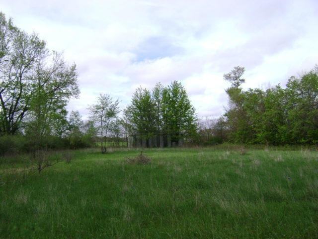 0 Wright Road Niles, MI 49120 - Photo 4 of 6 DSC05335