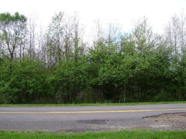 0 Wright Road Niles, MI 49120 - Photo 6 of 6 DSC05331