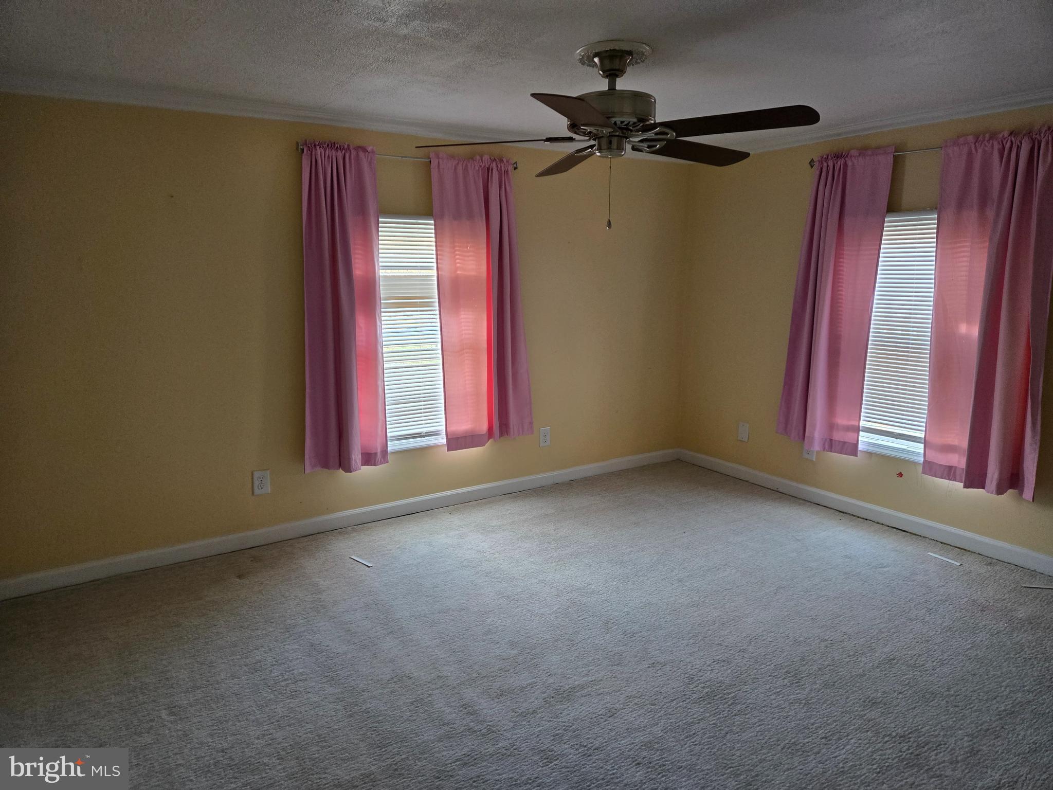 113 Maple Avenue Goldsboro, MD 21636 - Photo 14 of 17