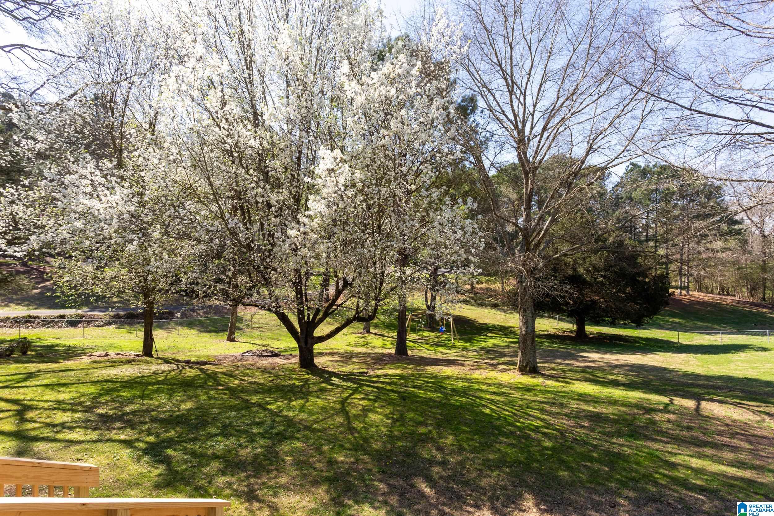 965 Sanie Road Odenville, AL 35120 - Photo 46 of 50