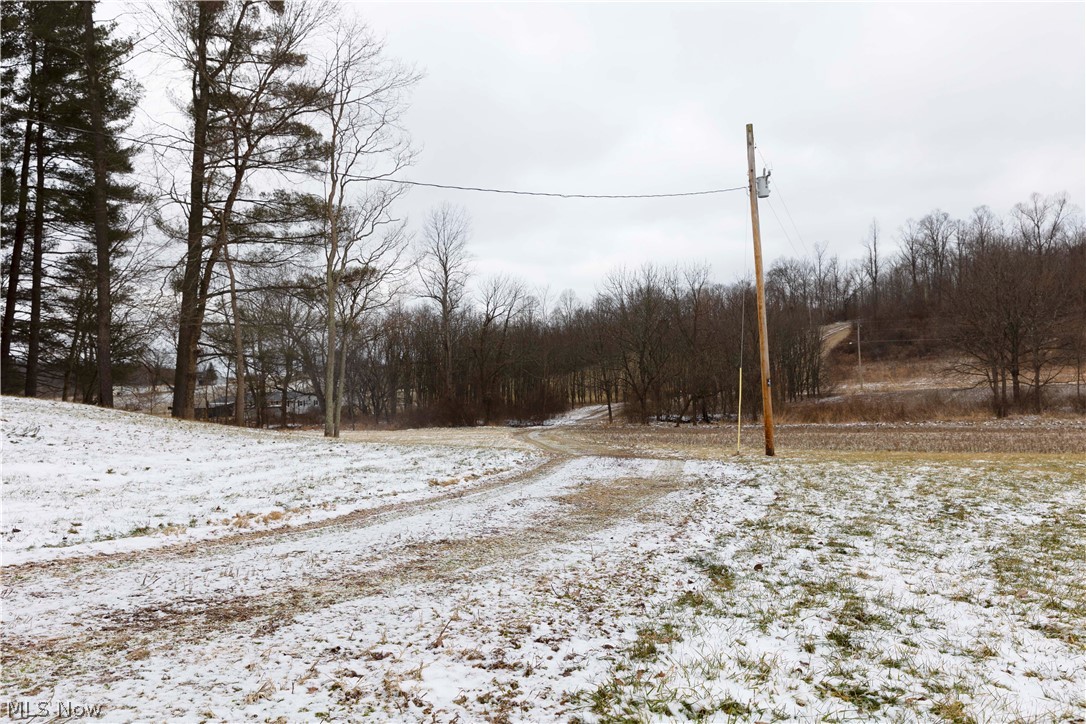 10170 North Morrison Road Dresden, OH 43821 - Photo 36 of 39 Gallery Image 36