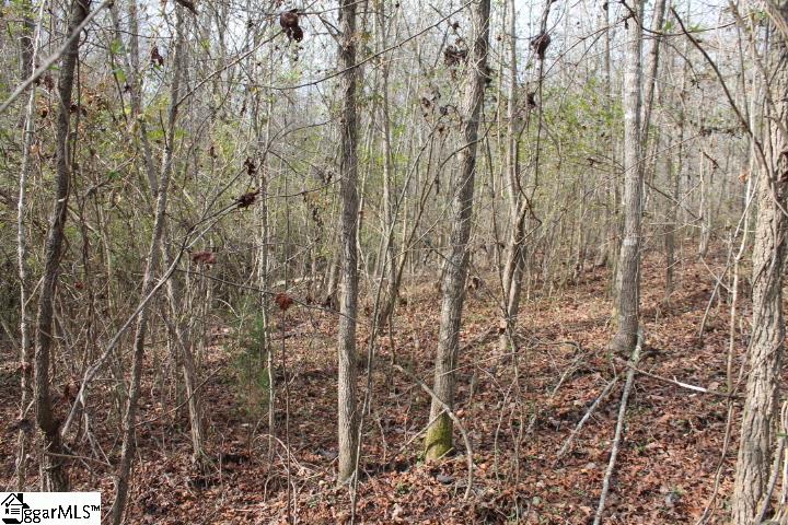 650 Stockton Road Fountain Inn, SC 29644 - Photo 22 of 25