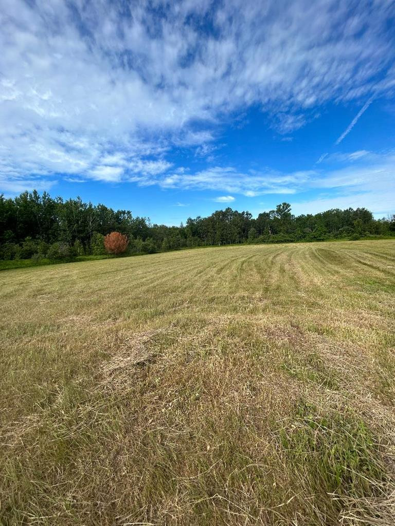 427 Wangum Road Moira, NY 12957 - Photo 1 of 3 Gallery Image 1