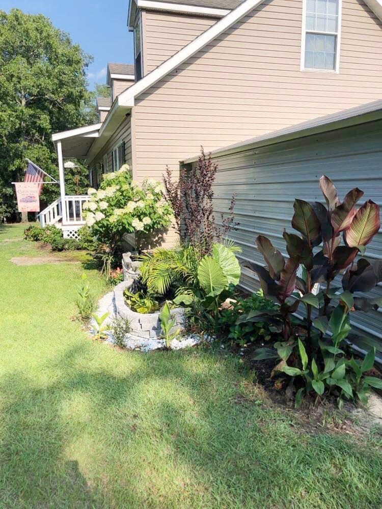 428 Equine Road Barnwell, SC 29812 - Photo 3 of 35