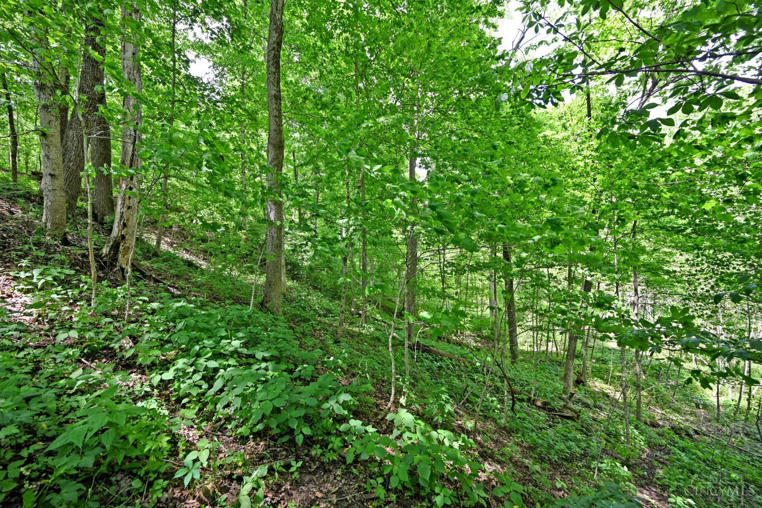 6244 Watt Road Camden, OH 45311 - Photo 14 of 48