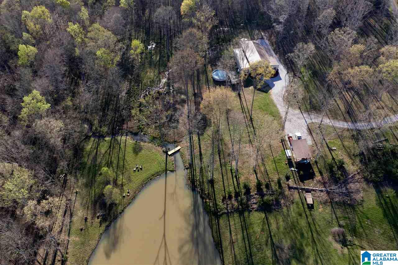 65 County Road 910 Delta, AL 36258 - Photo 38 of 38