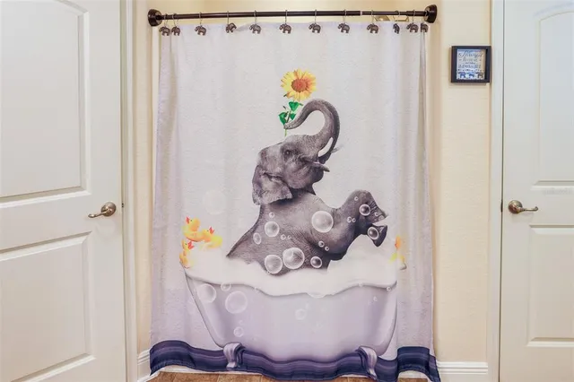 an aerial view of forest