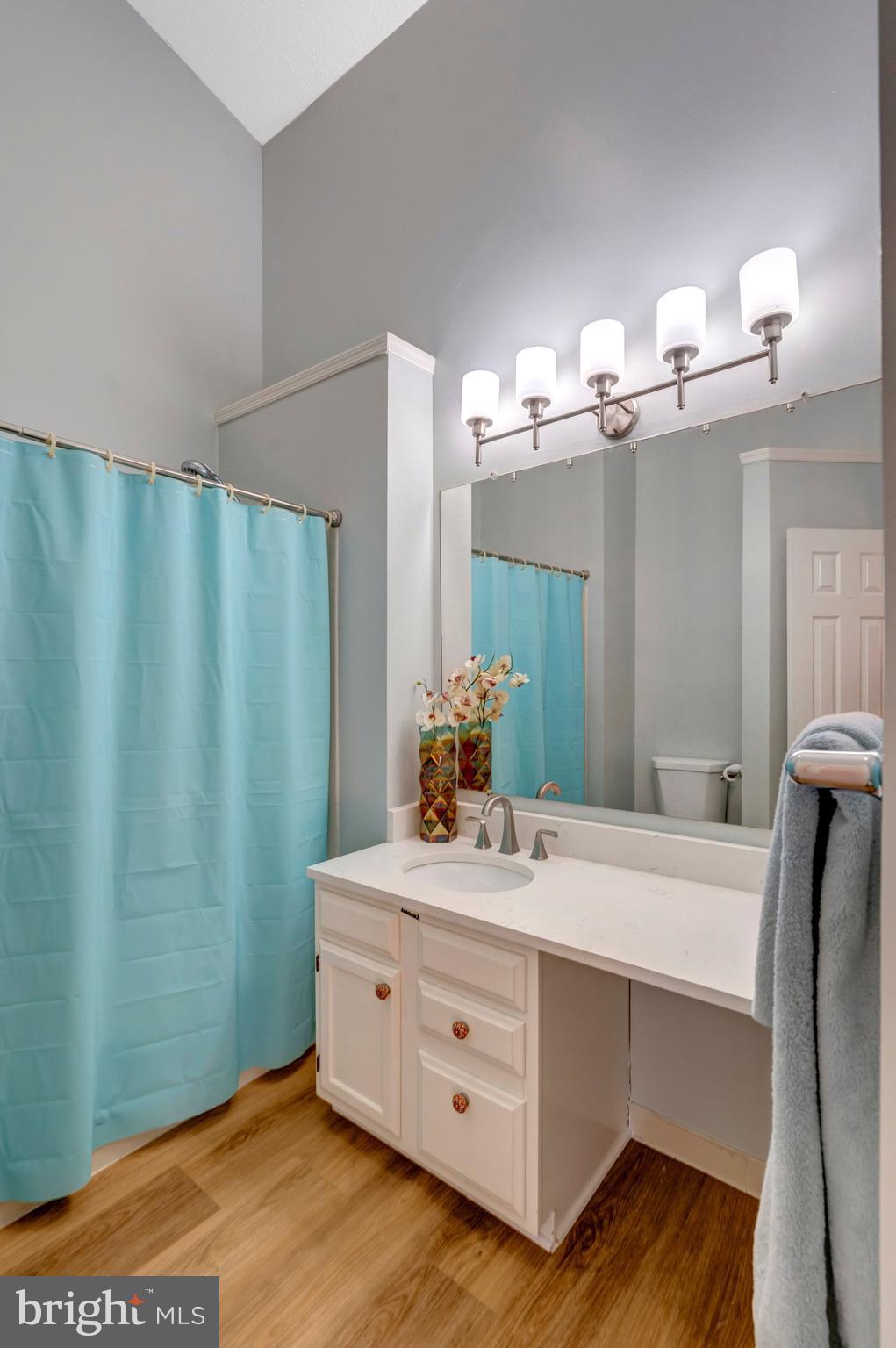 14097 Winding Ridge Lane Centreville, VA 20121 - Photo 30 of 46