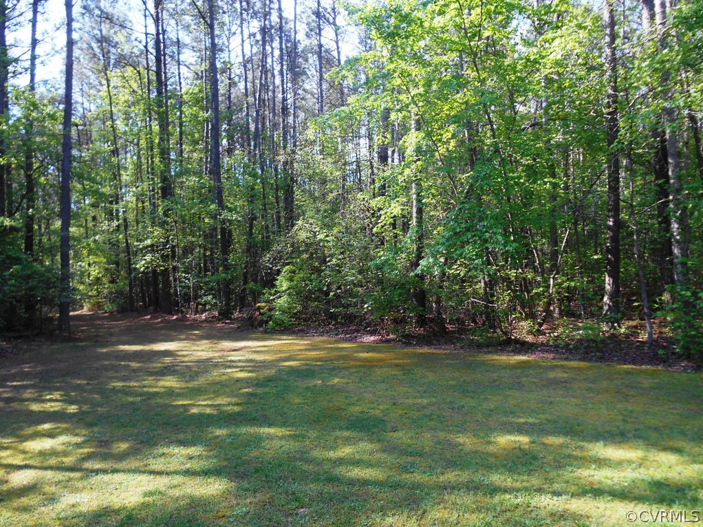 1333 Butler Branch Road Petersburg, VA 23805 - Photo 3 of 23 Gallery Image 3