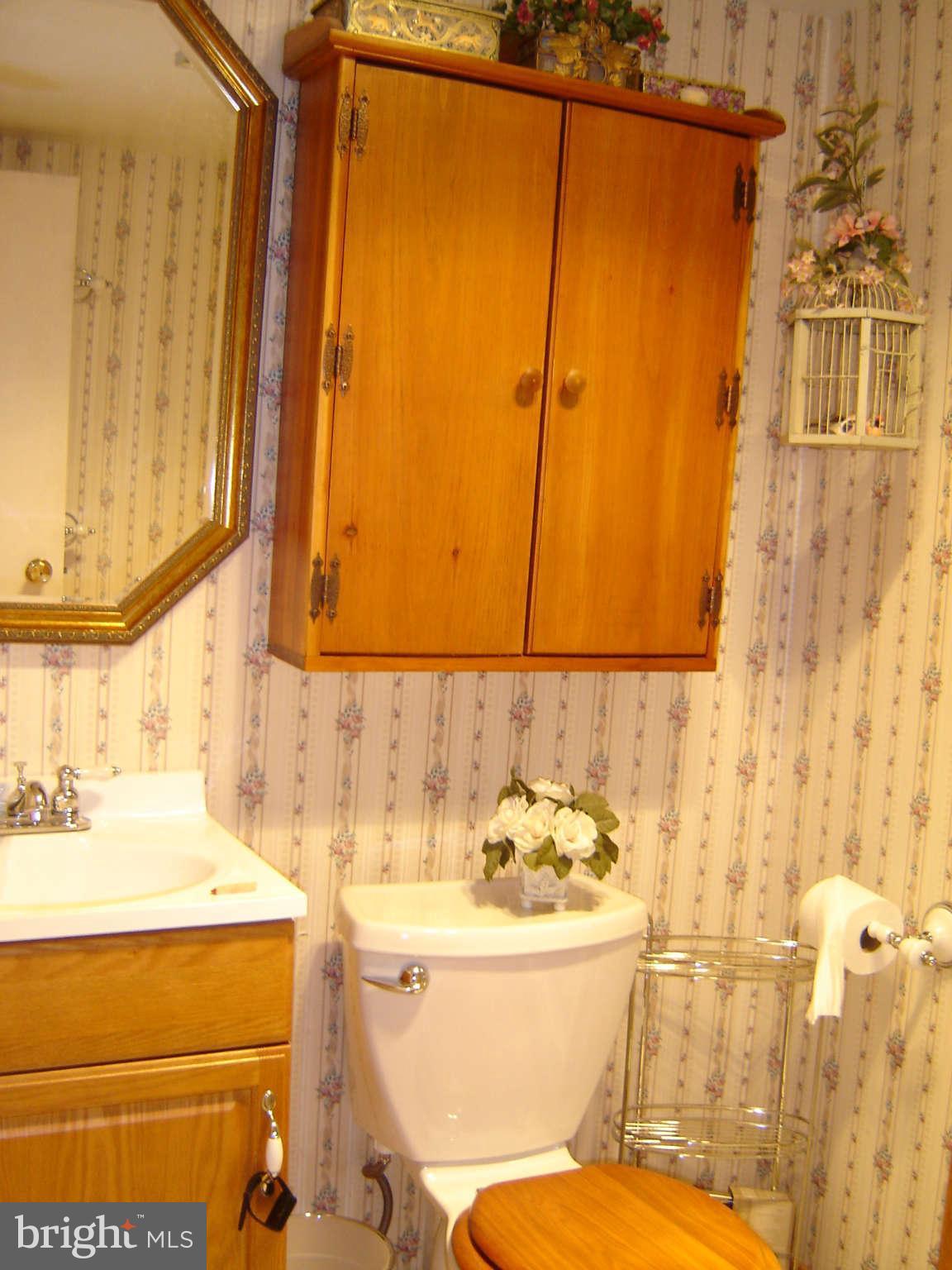 15312 Old Hanover Road Upperco, MD 21155 - Photo 16 of 19 a bathroom with a sink and a mirror