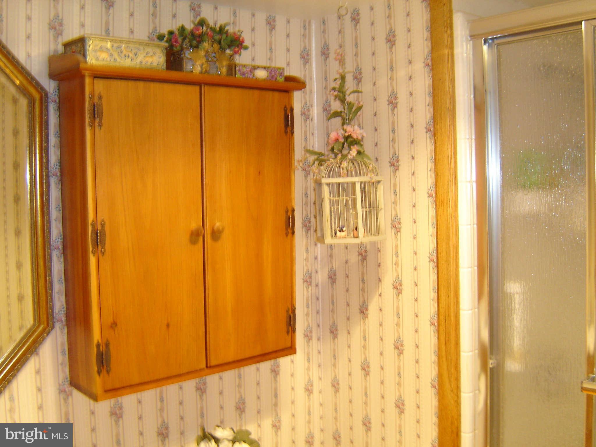 15312 Old Hanover Road Upperco, MD 21155 - Photo 18 of 19 a bathroom with a glass door