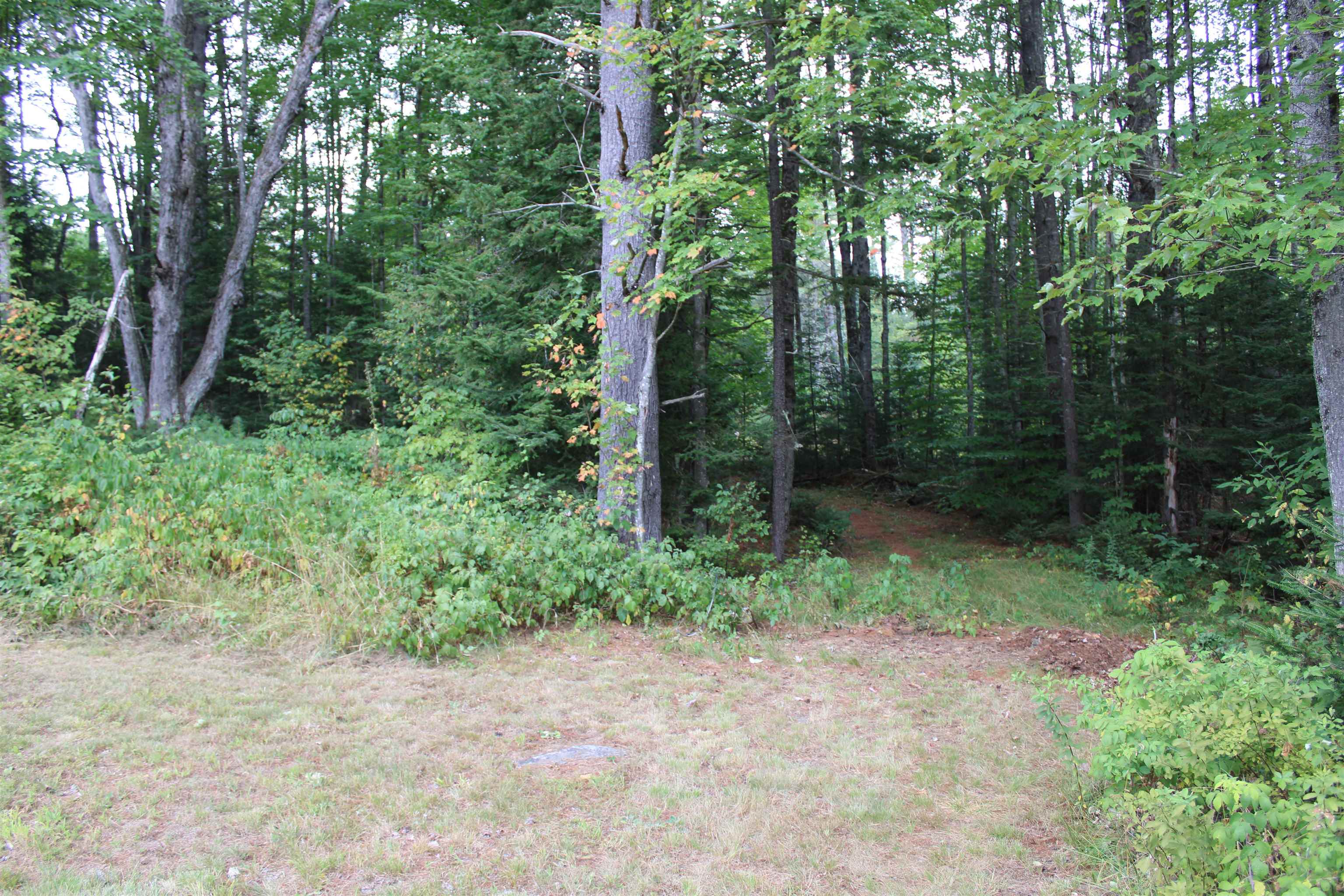 294 Walker Pit Road Concord, VT 05906 - Photo 5 of 24 Gallery Image 5