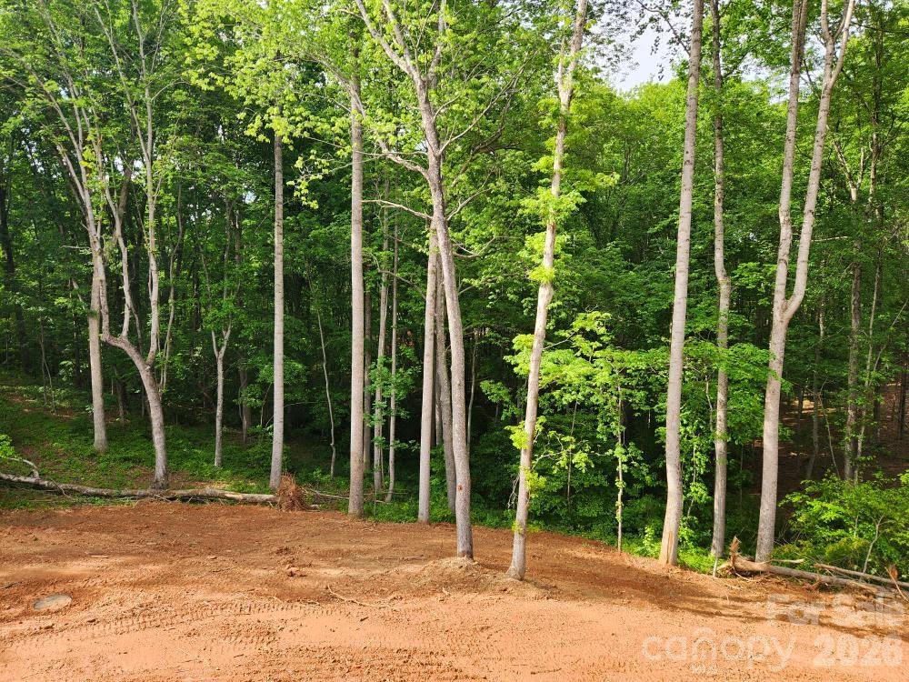 5117 Grassy Creek Road Denver, NC 28037 - Photo 9 of 13 a view of a house with backyard and tree