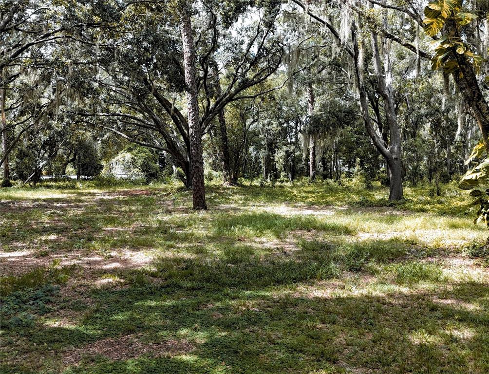 Rogers Road Odessa, FL 33556 - Photo 11 of 14 a view of outdoor space with trees all around