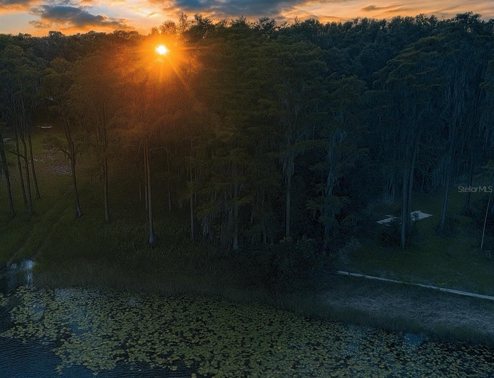 Rogers Road Odessa, FL 33556 - Photo 14 of 14 a view of outdoor space and yard