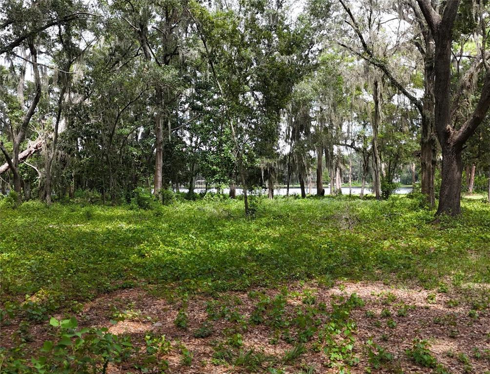 Rogers Road Odessa, FL 33556 - Photo 3 of 14 a view of park with trees