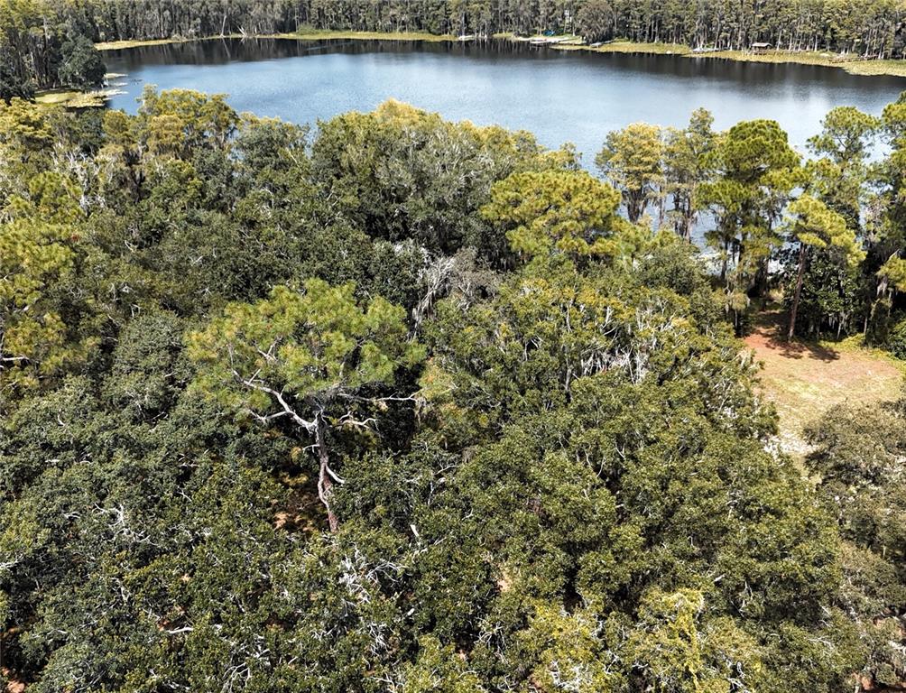 Rogers Road Odessa, FL 33556 - Photo 4 of 14 an aerial view of a houses with a lake view