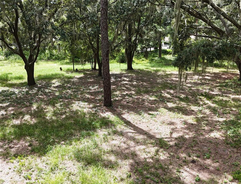 Rogers Road Odessa, FL 33556 - Photo 6 of 14 a view of outdoor space with trees