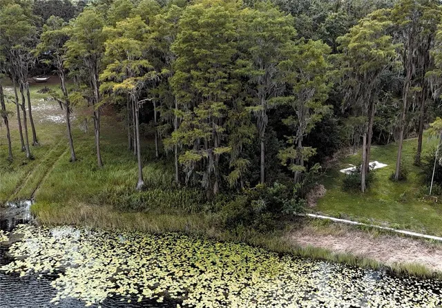 a view of a back yard