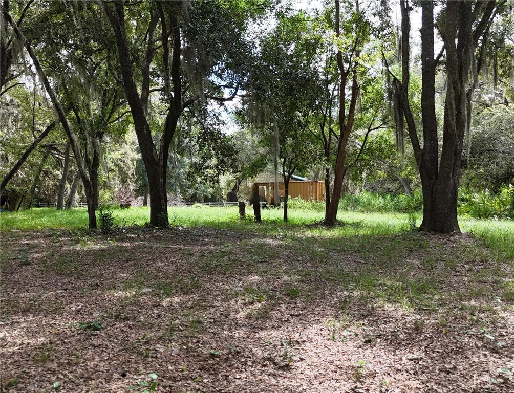 Rogers Road Odessa, FL 33556 - Photo 9 of 14 a view of outdoor space with trees