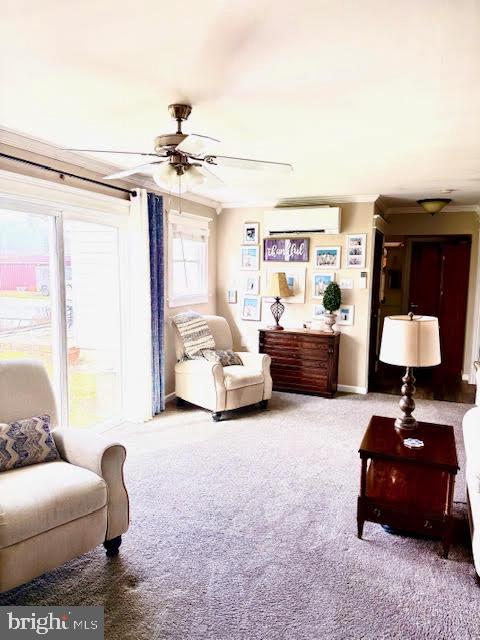 464 Wolfs Bridge Road Carlisle, PA 17013 - Photo 15 of 46 Gallery Image 15