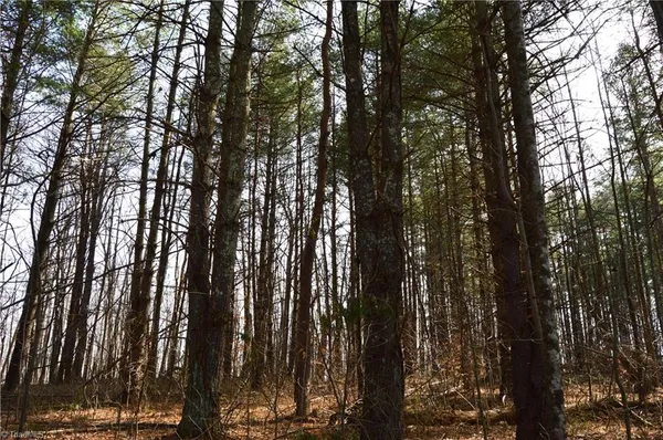 $570,000 | 1284-1516 Tom Mix Road, Unit 95 93 / AC TRACT, Westfield, NC 27053