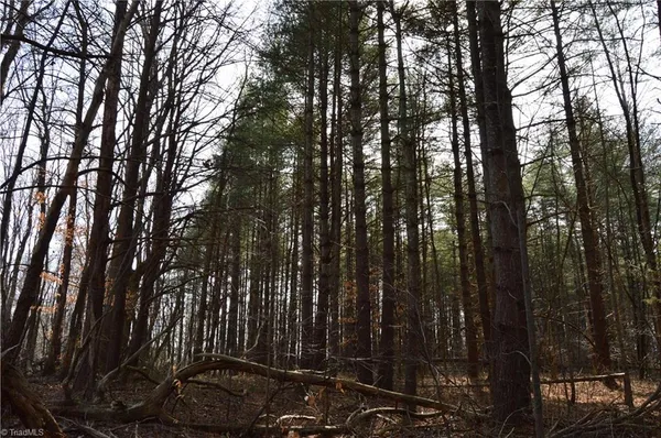 $570,000 | 1284-1516 Tom Mix Road, Unit 95 93 / AC TRACT, Westfield, NC 27053