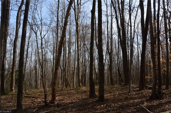 $570,000 | 1284-1516 Tom Mix Road, Unit 95 93 / AC TRACT, Westfield, NC 27053