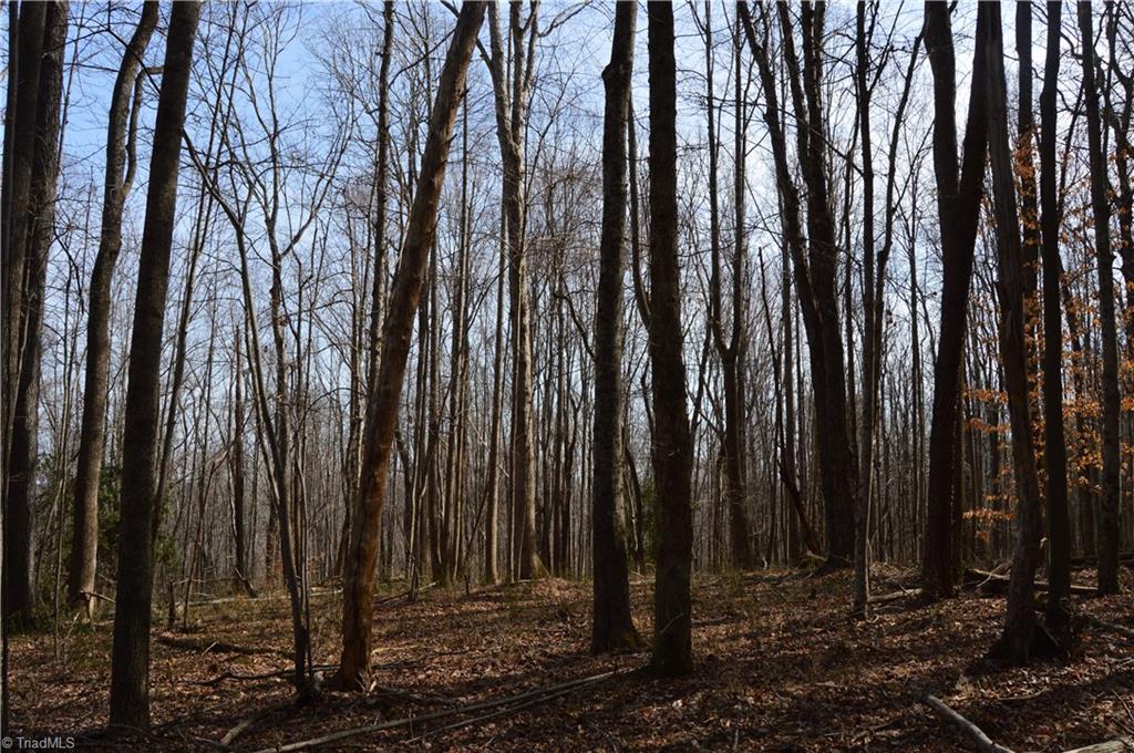 1284-1516 Tom Mix Road, Unit 95 93 / AC TRACT Westfield, NC 27053 - Photo 13 of 50