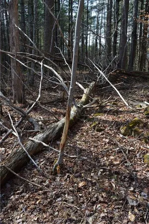 $570,000 | 1284-1516 Tom Mix Road, Unit 95 93 / AC TRACT, Westfield, NC 27053