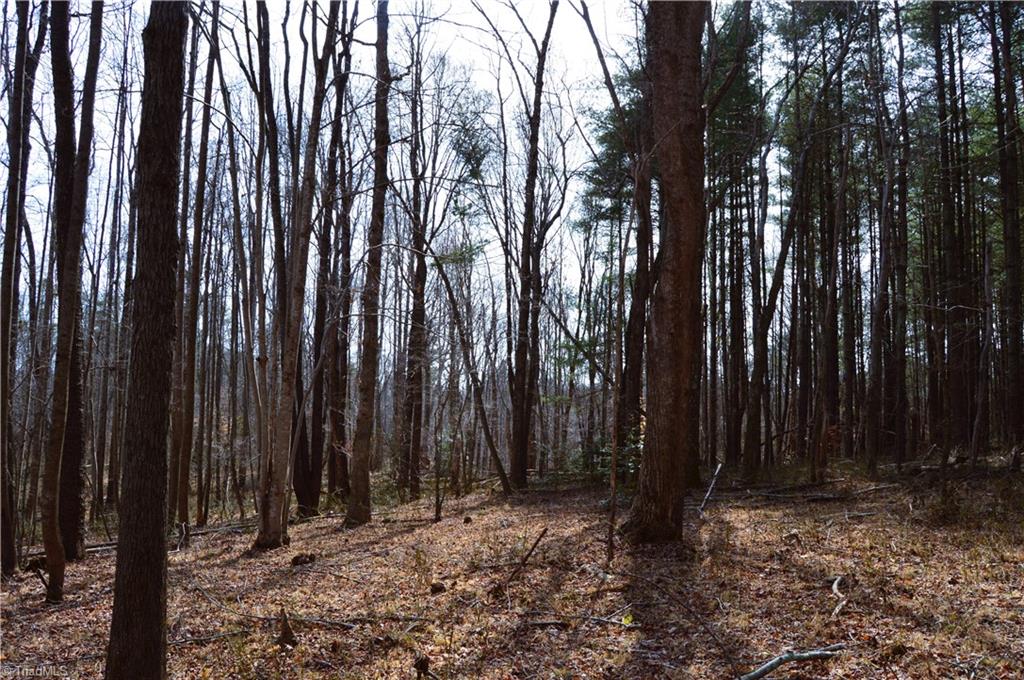 1284-1516 Tom Mix Road, Unit 95 93 / AC TRACT Westfield, NC 27053 - Photo 15 of 50
