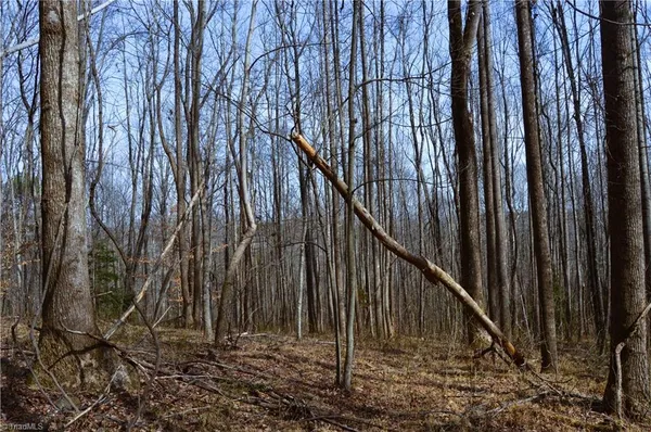 $570,000 | 1284-1516 Tom Mix Road, Unit 95 93 / AC TRACT, Westfield, NC 27053