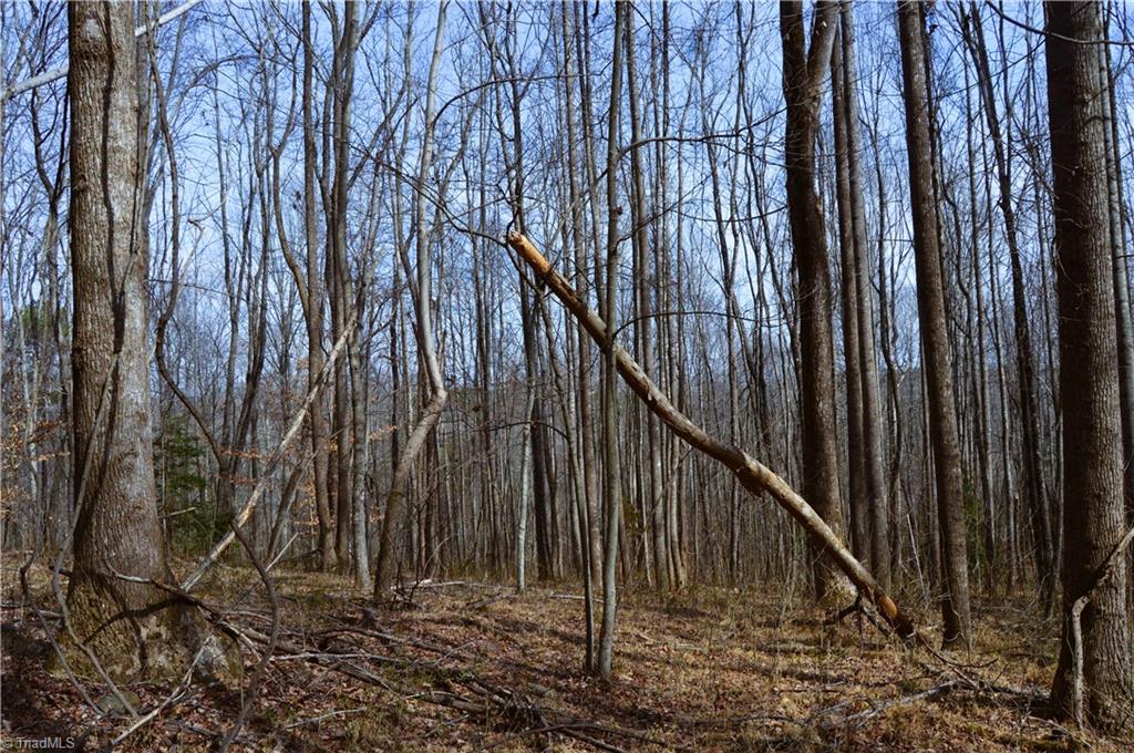 1284-1516 Tom Mix Road, Unit 95 93 / AC TRACT Westfield, NC 27053 - Photo 16 of 50