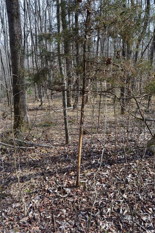1284-1516 Tom Mix Road, Unit 95 93 / AC TRACT Westfield, NC 27053 - Photo 17 of 50