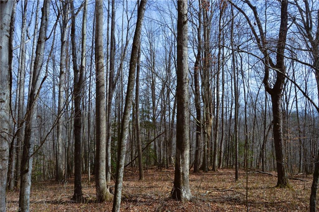 1284-1516 Tom Mix Road, Unit 95 93 / AC TRACT Westfield, NC 27053 - Photo 18 of 50