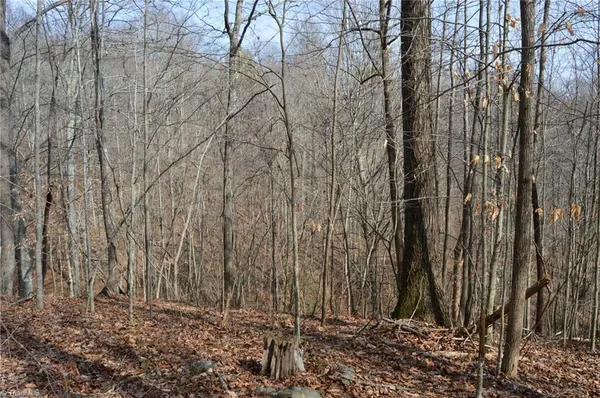 $570,000 | 1284-1516 Tom Mix Road, Unit 95 93 / AC TRACT, Westfield, NC 27053