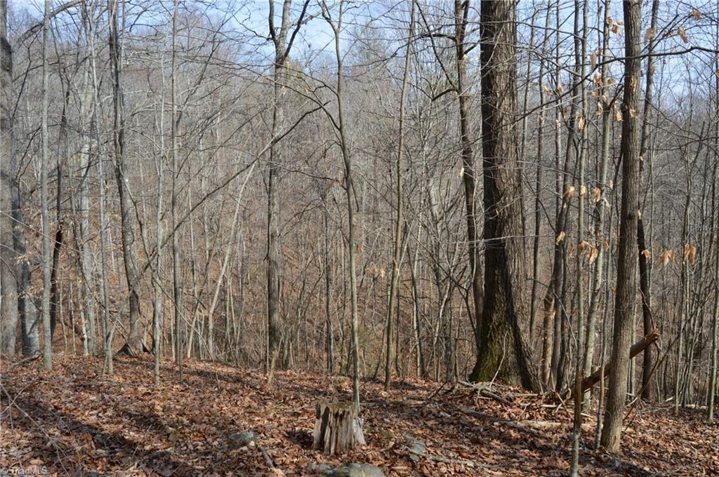 1284-1516 Tom Mix Road, Unit 95 93 / AC TRACT Westfield, NC 27053 - Photo 19 of 50