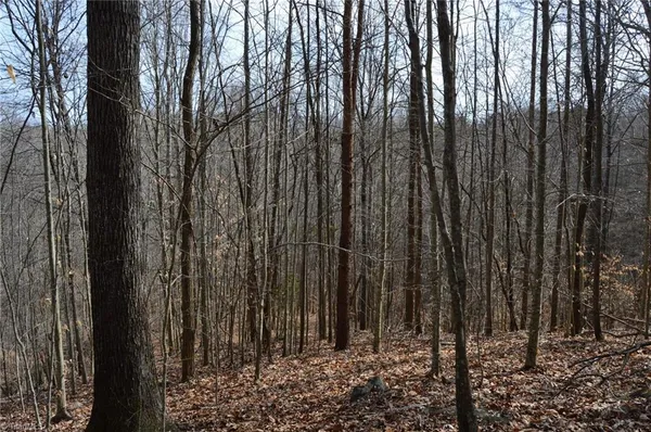 $570,000 | 1284-1516 Tom Mix Road, Unit 95 93 / AC TRACT, Westfield, NC 27053