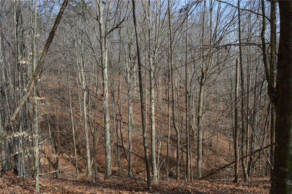 1284-1516 Tom Mix Road, Unit 95 93 / AC TRACT Westfield, NC 27053 - Photo 21 of 50