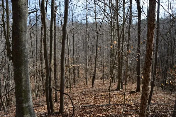 $570,000 | 1284-1516 Tom Mix Road, Unit 95 93 / AC TRACT, Westfield, NC 27053